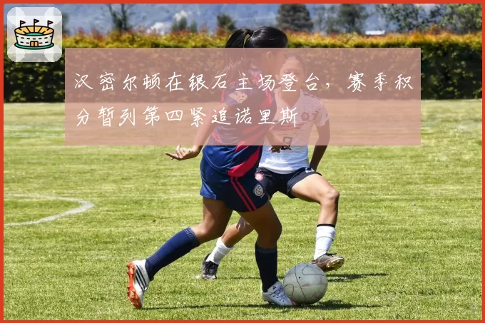 汉密尔顿在银石主场登台，赛季积分暂列第四紧追诺里斯